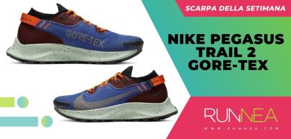 Scarpa della settimana: Nike Pegasus Trail 2 GORE-TEX