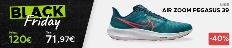 Nike Air Zoom Pegasus 39 a 71,97€ (-40%)
