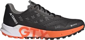 Scarpe per sentieri adidas TERREX AGRAVIC FLOW 2 GTX