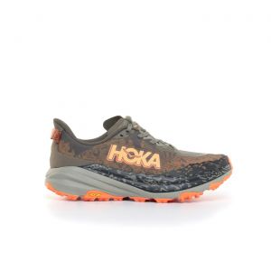 Hoka speedgoat 6