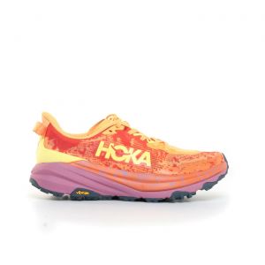 Hoka speedgoat 6