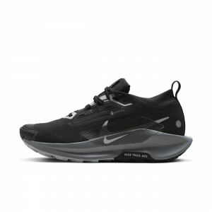 Scarpa impermeabile da trail running Nike Pegasus Trail 5 GORE-TEX ? Donna - Nero