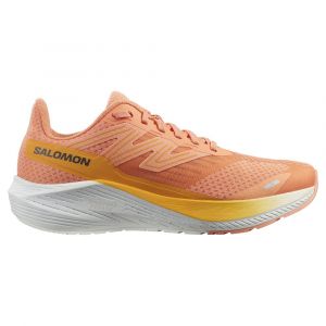 Salomon Scarpe Da Running Aero Blaze