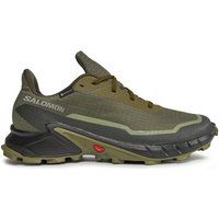 Salomon Scarpe da corsa Alphacross 5 Gtx GORE-TEX 473103 29 W0 Verde