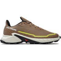 Salomon Scarpe running Alphacross 5 L47460100 Beige