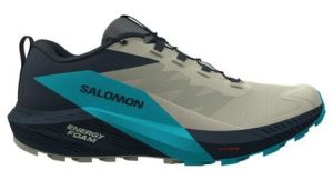 Salomon Sense Ride 5 - uomo - beige