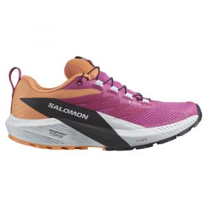 Salomon Scarpe Da Trail Running Sense Ride 5 Goretex