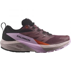 Salomon Scarpe Da Trail Running Sense Ride 5 Goretex