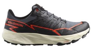 Salomon Thundercross Gore-Tex - uomo - grigio