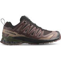 Salomon Scarpe running Xa Pro 3D V9 Gore-Tex L47583500 Marrone