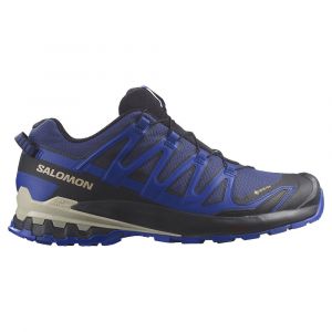 Salomon Scarpe Da Trail Running Xa Pro 3d V9 Goretex