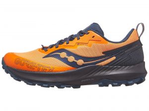 Scarpe Saucony Peregrine 14 GTX Peel/Shadow Uomo