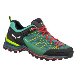 Salewa Scarpe Da Avvicinamento Mtn Trainer Lite Goretex