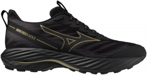 Scarpe per sentieri Mizuno WAVE RIDER GTX 2