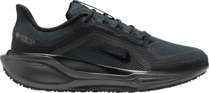 Scarpe da running Nike Pegasus 41 GORE-TEX