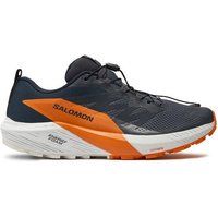 Salomon Scarpe da corsa Sense Ride 5 Gore-Tex L47459400 Grigio