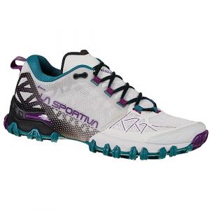 Bushido II Woman GTX light grey/blueberry (902503) 38