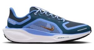 Nike Pegasus 41 GTX - donna - blu