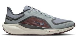 Nike Pegasus 41 GTX - uomo - grigio