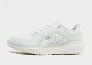 Nike Pegasus 41 GORE-TEX, White