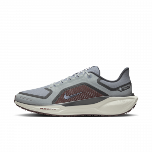 Scarpa impermeabile da running su strada Nike Pegasus 41 GORE-TEX ? Uomo - Grigio