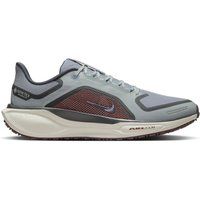  Air Zoom Pegasus 41 Gore-Tex Light Pumice Ashe - Scarpe Running Uomo 