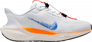 Scarpe da running Nike Pegasus EasyOn Blueprint