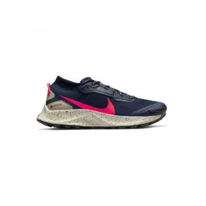 Nike Scarpe Da Trail Running Pegasus 3 Gtx