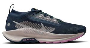 Nike Pegasus Trail 5 GTX - donna - blu