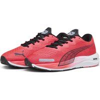 Scarpe da running Velocity Nitro 2 da uomo PUMA Fire Orchid Black Red |  Puma