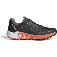 Scarpe di trail running adidas Terrex Agravic Flow 2 Gtx |  Adidas