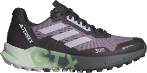 Scarpe per sentieri adidas TERREX AGRAVIC FLOW 2 GTX W