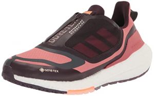 adidas Scarpe da corsa Ultraboost 22 GTX da donna