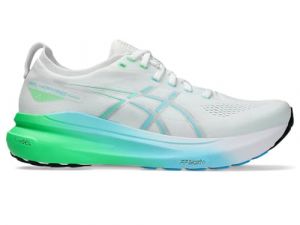 Asics Gel-Kayano 31