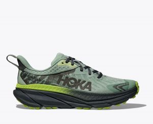 Hoka Challenger 7 GTX Aloe Vera/Lettuce da Uomo