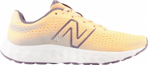 Scarpe New Balance 520 v8