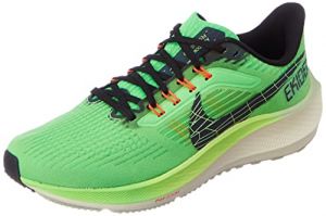 Nike Pegasus 39 Scarpe