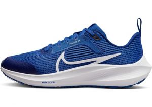 NIKE Air Zoom Pegasus 40 (GS)