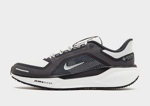 Nike Pegasus 41 GORE-TEX, Grey