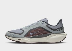 Nike Pegasus 41 GORE-TEX, Grey