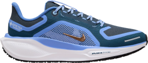 Scarpe da running Nike Pegasus 41 GORE-TEX