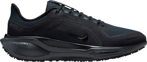 Scarpe da running Nike Pegasus 41 GORE-TEX