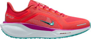 Scarpe da running Nike Pegasus 41 GORE-TEX