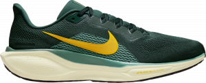 Scarpe da running Nike Pegasus 41