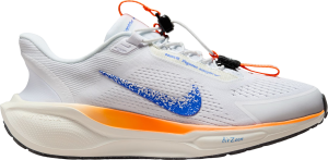 Scarpe da running Nike Pegasus EasyOn Blueprint