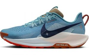 Nike Reactx Pegasus Trail 5