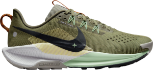 Scarpe per sentieri Nike Pegasus Trail 5