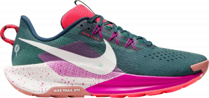 Scarpe per sentieri Nike Pegasus Trail 5