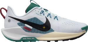 Scarpe per sentieri Nike Pegasus Trail 5