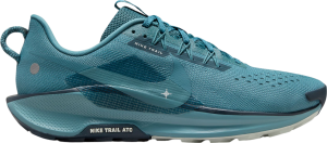 Scarpe per sentieri Nike Pegasus Trail 5